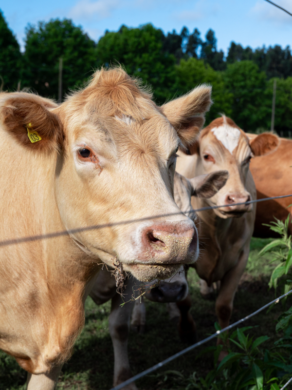 Design sem nome (43)